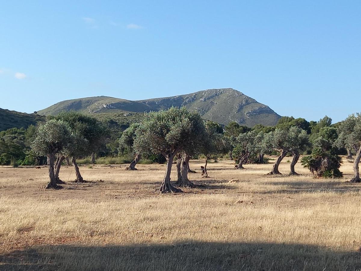 Ferienwohnung El Nido De Betlem Colònia de Sant Pere Exterior foto